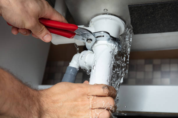 Best Professional water damage repair  in Elm Creek, TX