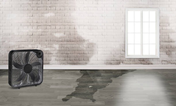 Best 24-hour water damage restoration  in Elm Creek, TX