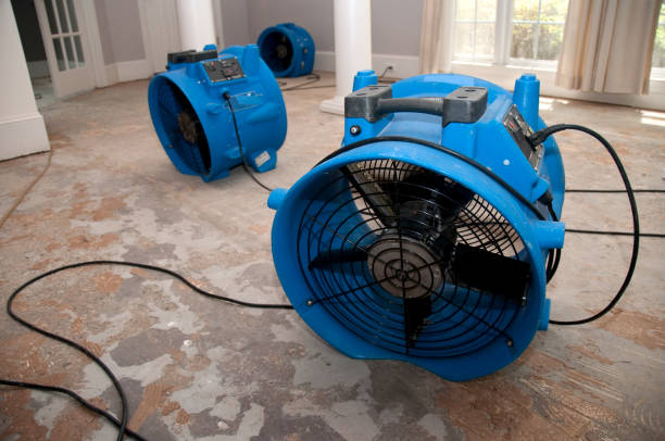 Best Local water damage restoration  in Elm Creek, TX