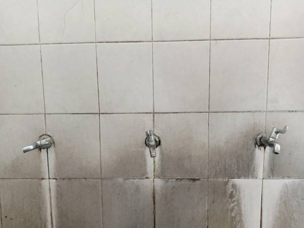 Best 24/7 water damage repair  in Elm Creek, TX
