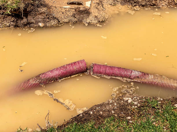 Best Water damage cleanup near me  in Elm Creek, TX